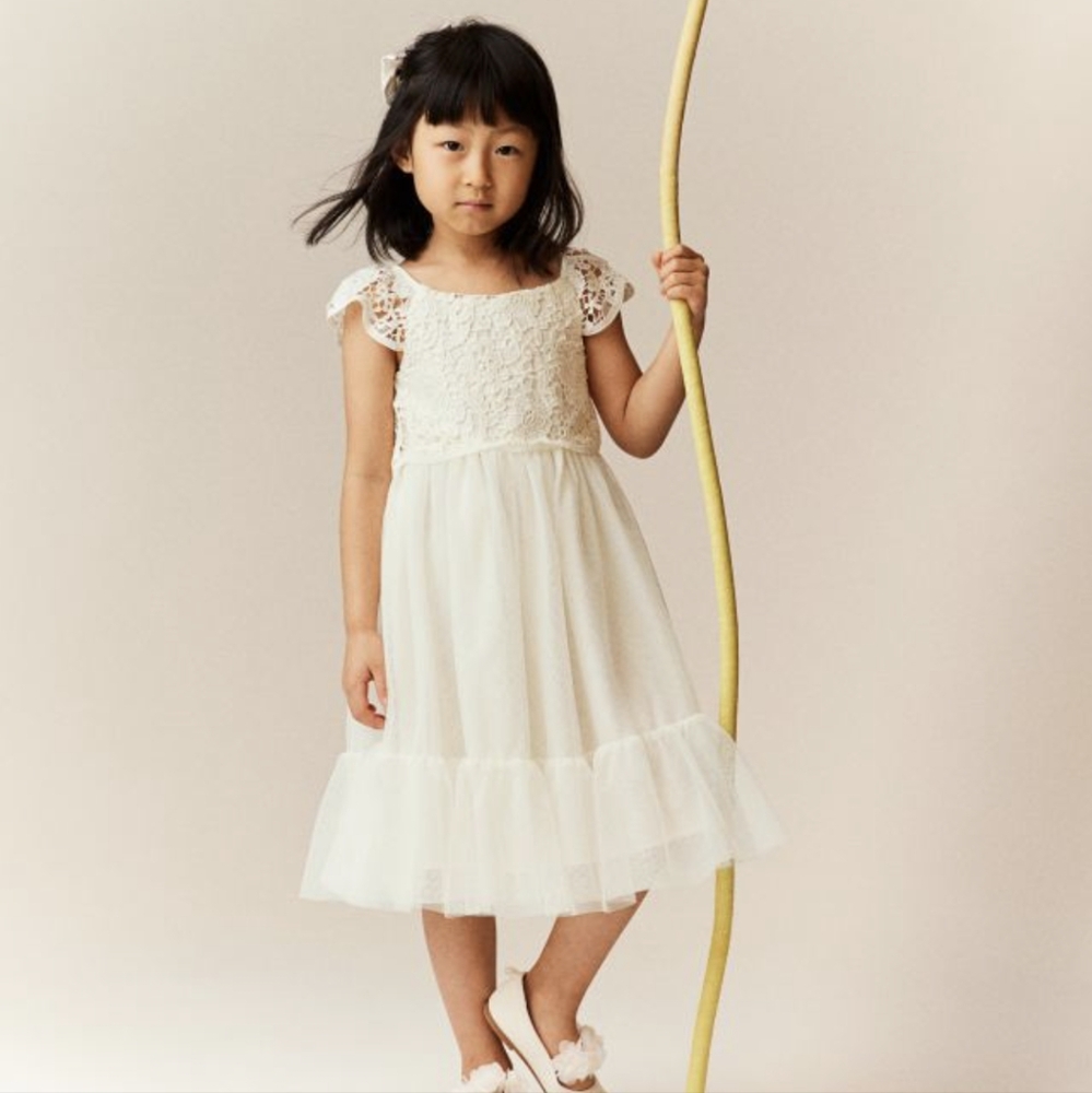H&M Lace and Tulle Dress